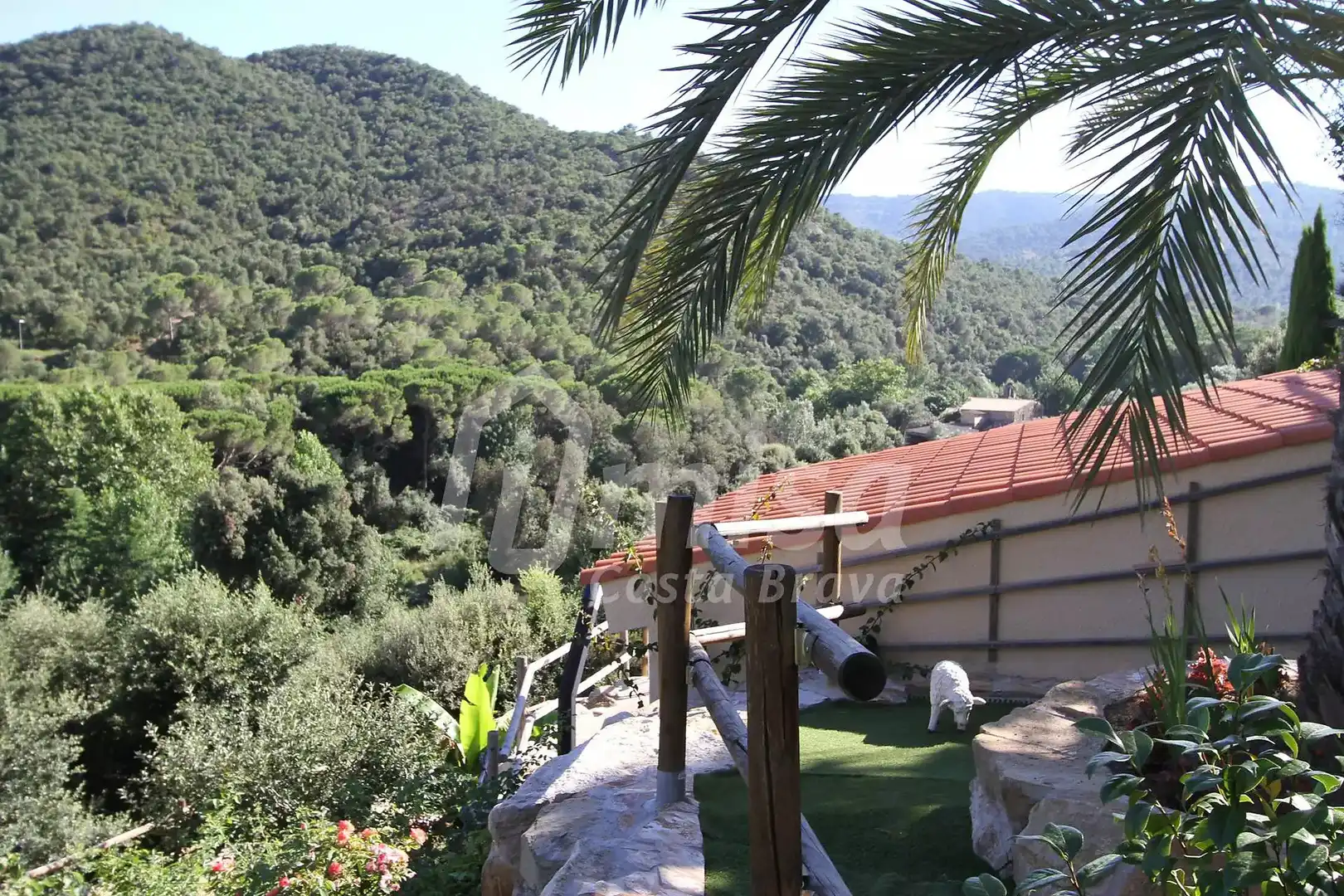 Jardín de Casa o chalet en venta en Calonge i Sant Antoni con Terraza, Trastero y Piscina