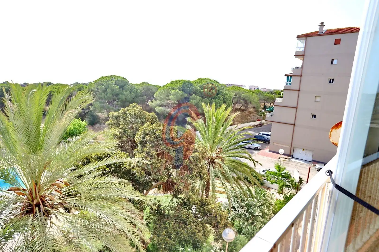 Jardí de Apartament en venda en Guardamar del Segura amb Moblat