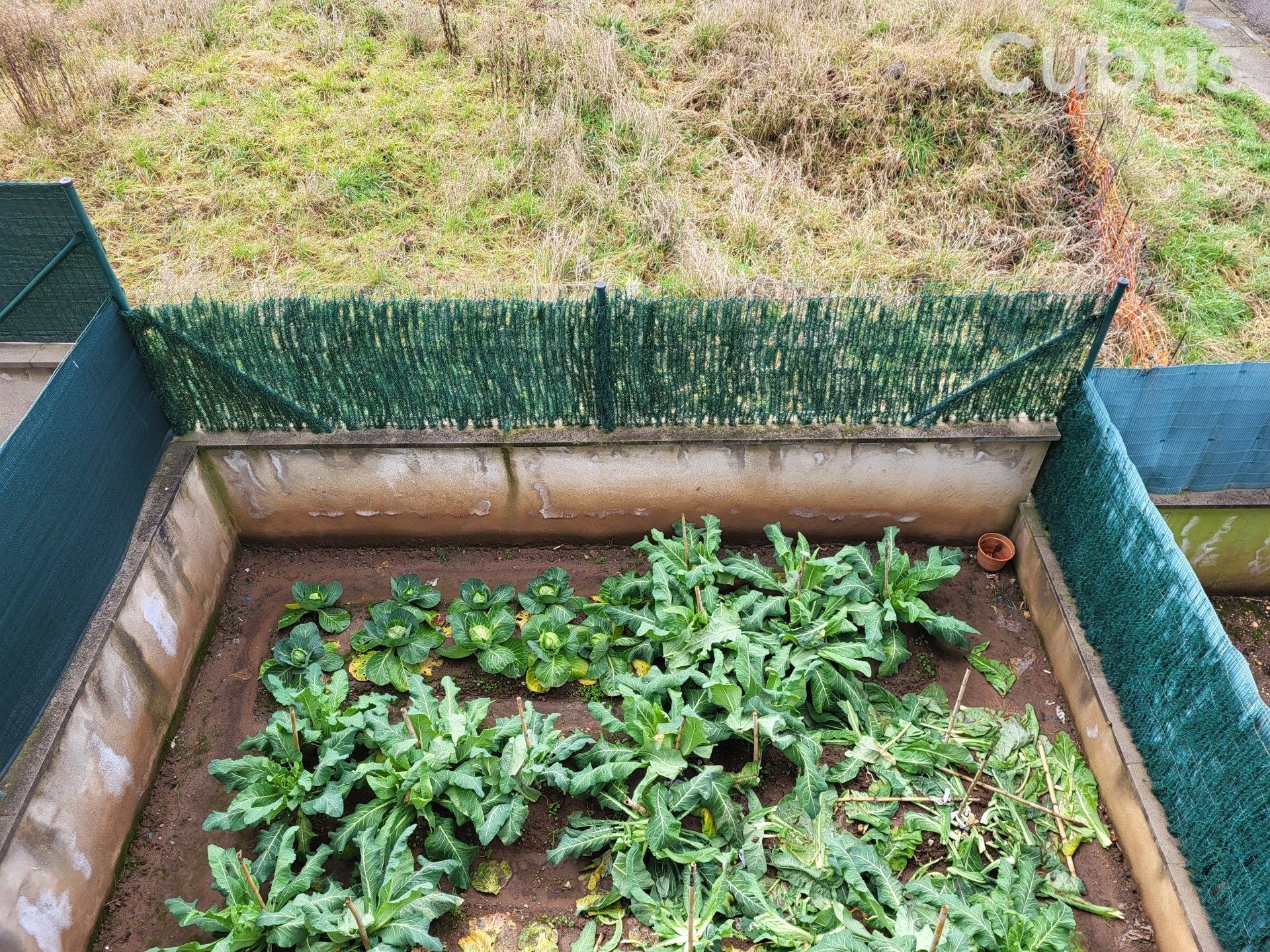 Garden of Single-family semi-detached for sale in Olot  with Balcony