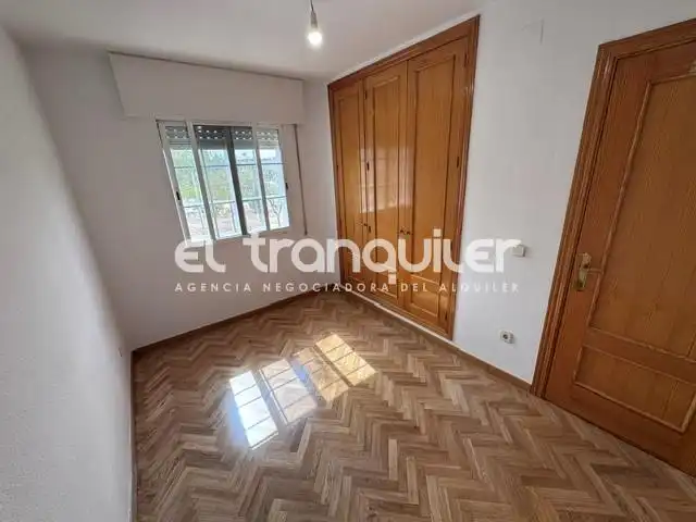Villa con giardino in affitto a Calle De las hayas, imagen 29