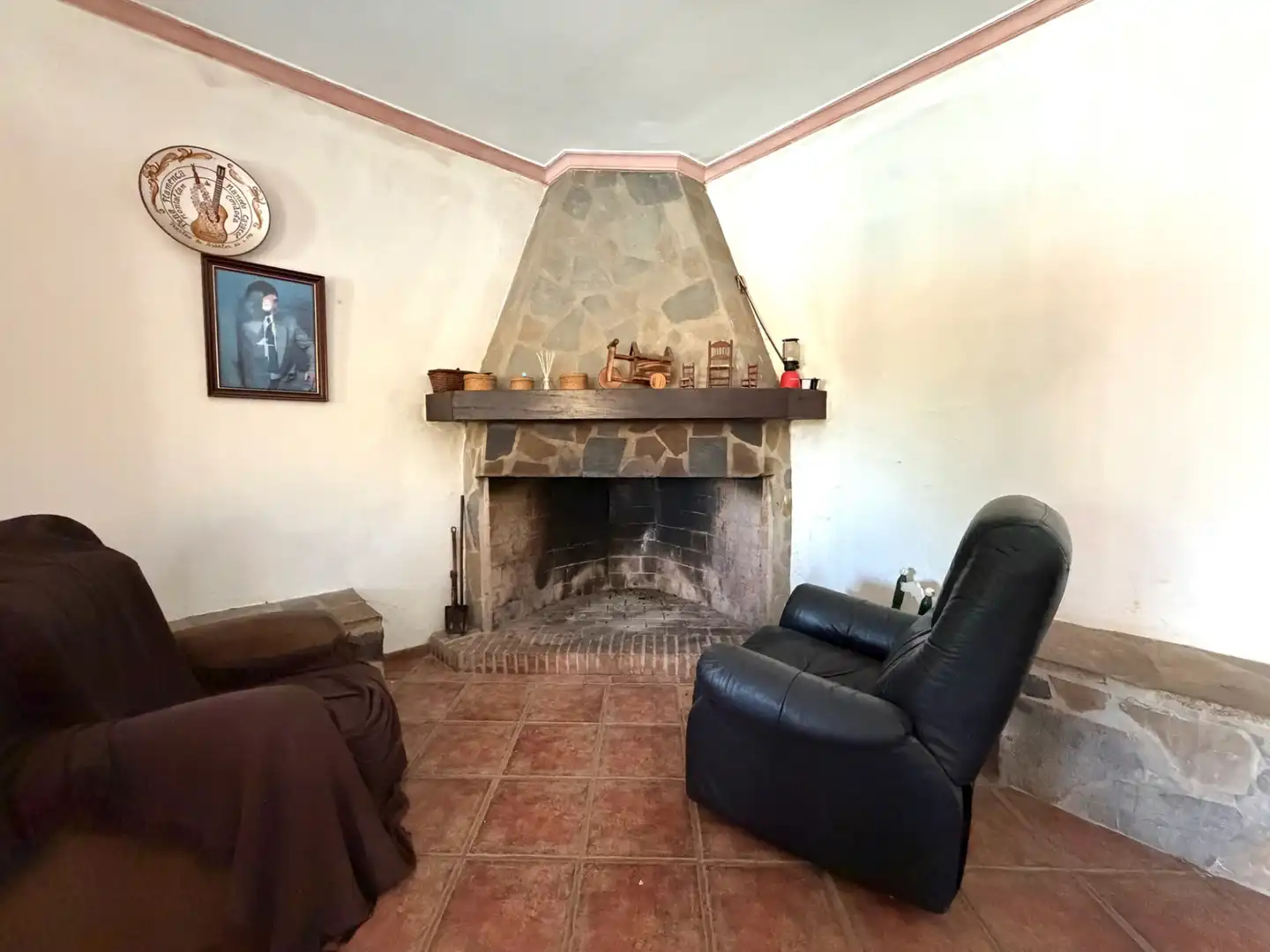 Sala de estar de Finca rústica en venta en Ardales con Jardín privado, Terraza y Piscina