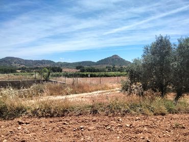 Terreno rústico en venta en Cehegín