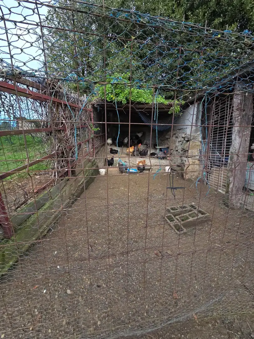 Jardín de Terreno en venta en Carreño