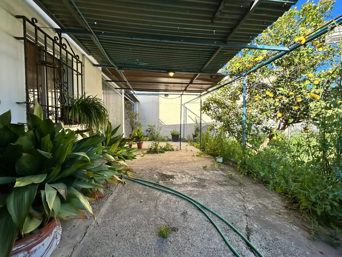 Garden of Residential for sale in Fuengirola