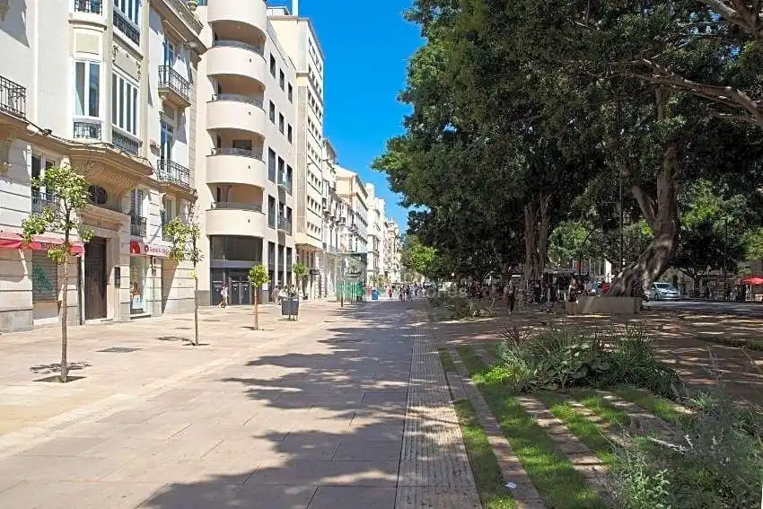 Pis amb ascensor en venda a Centro