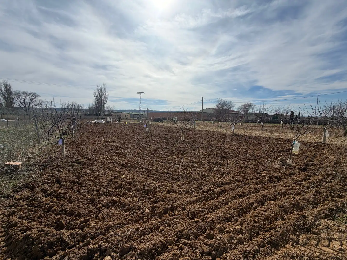 Terreno en venta en Tordehumos