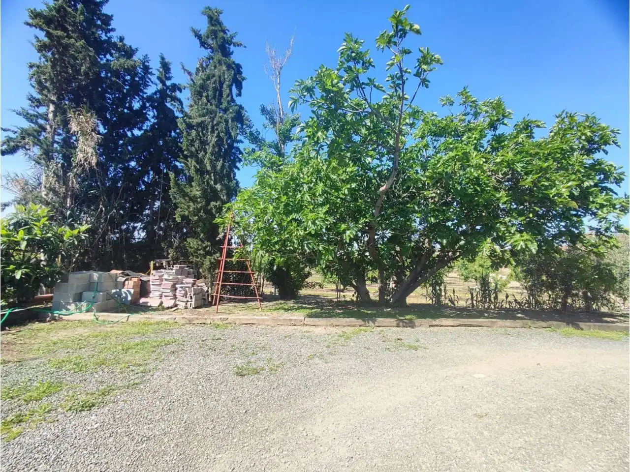 Terreno en venta en Zaidín