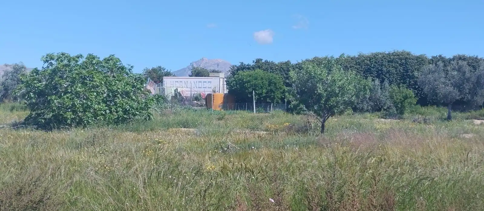 Terreno rustico in vendita a La Huerta, imagen 33