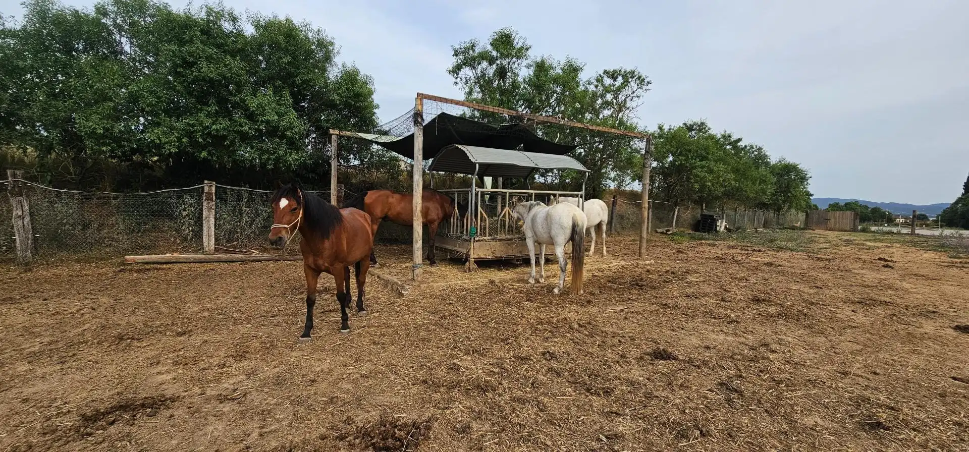 Casa o chalet en venta en Lliçà d'Amunt