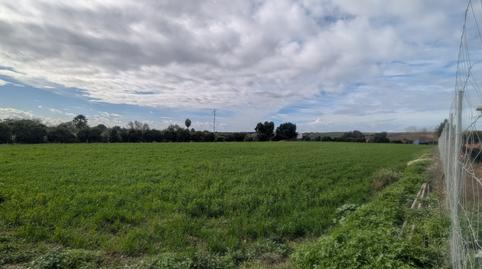 Foto 5 de Casa o chalet en venta en Parque Atlántico - Ronda este, Jerez de la Frontera