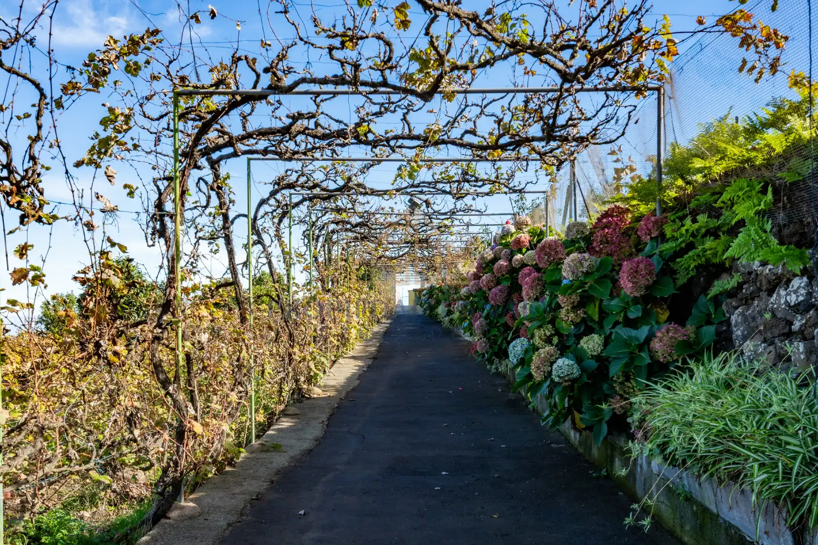 Vista exterior de Finca rústica en venda en Santa Úrsula amb Terrassa