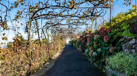 Foto 4 de Finca rústica en venda a Calle las Turcas, 69, La Corujera, Santa Cruz de Tenerife