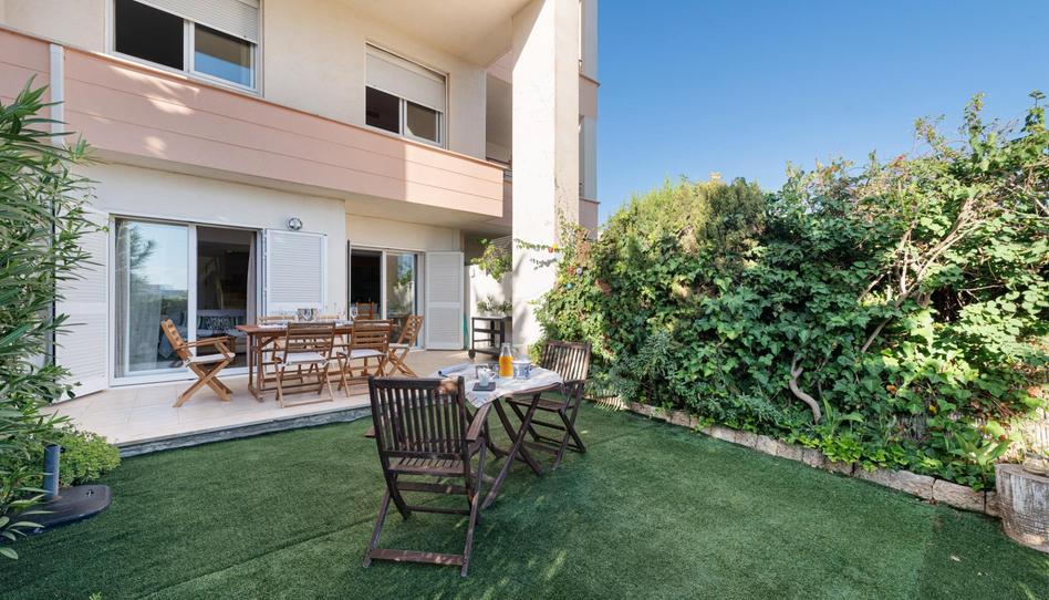 Photo 1 of Planta baja for sale in  Estany Petit, de L', Port d'Alcúdia - Platja d'Alcúdia, Illes Balears