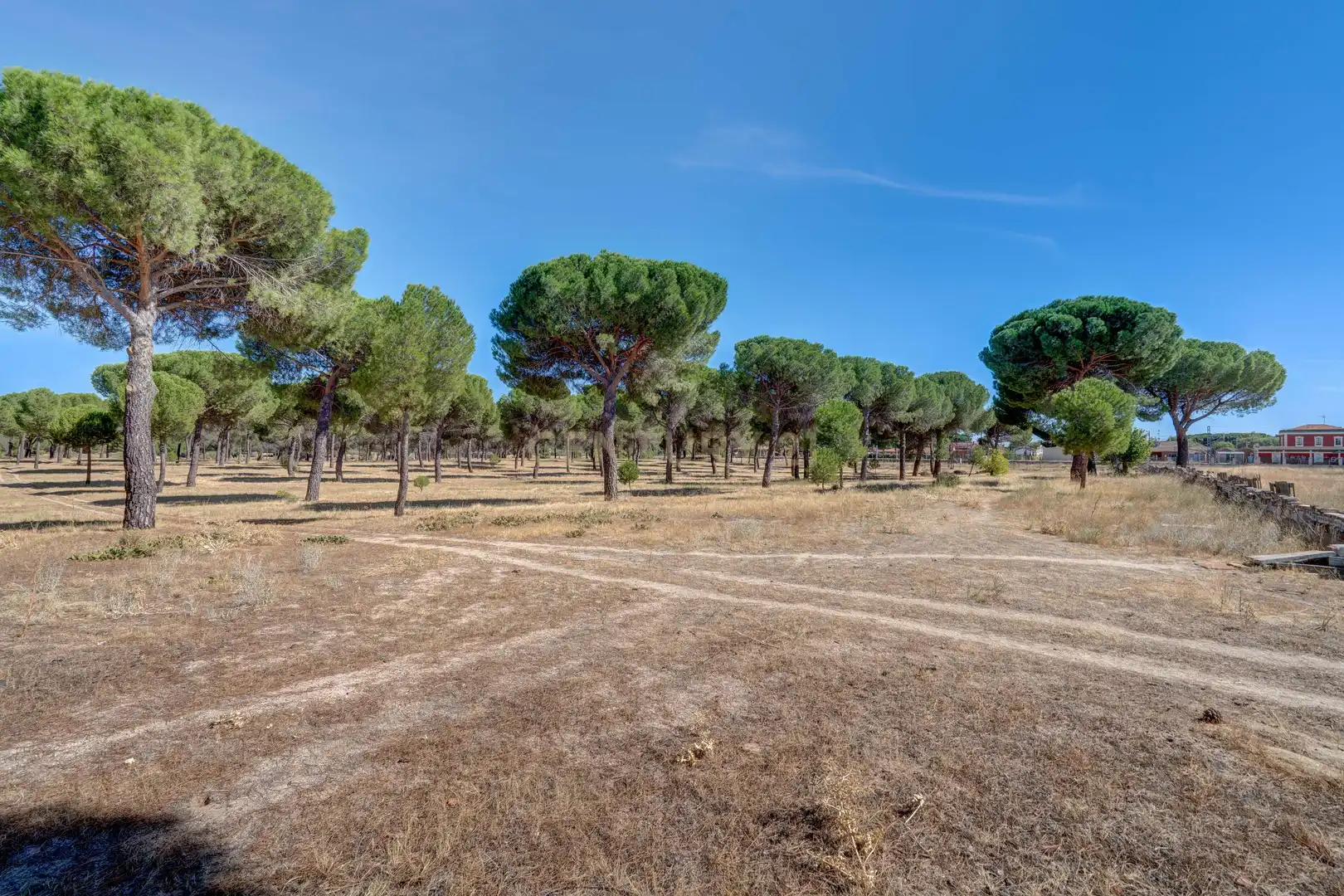 Casa o chalet en venta en Valdestillas, Valladolid