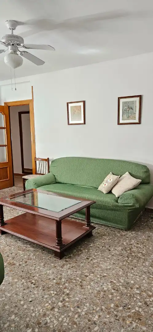 Sala d'estar de Pis per a compartir en Albacete amb Calefacció, Moblat i Forn