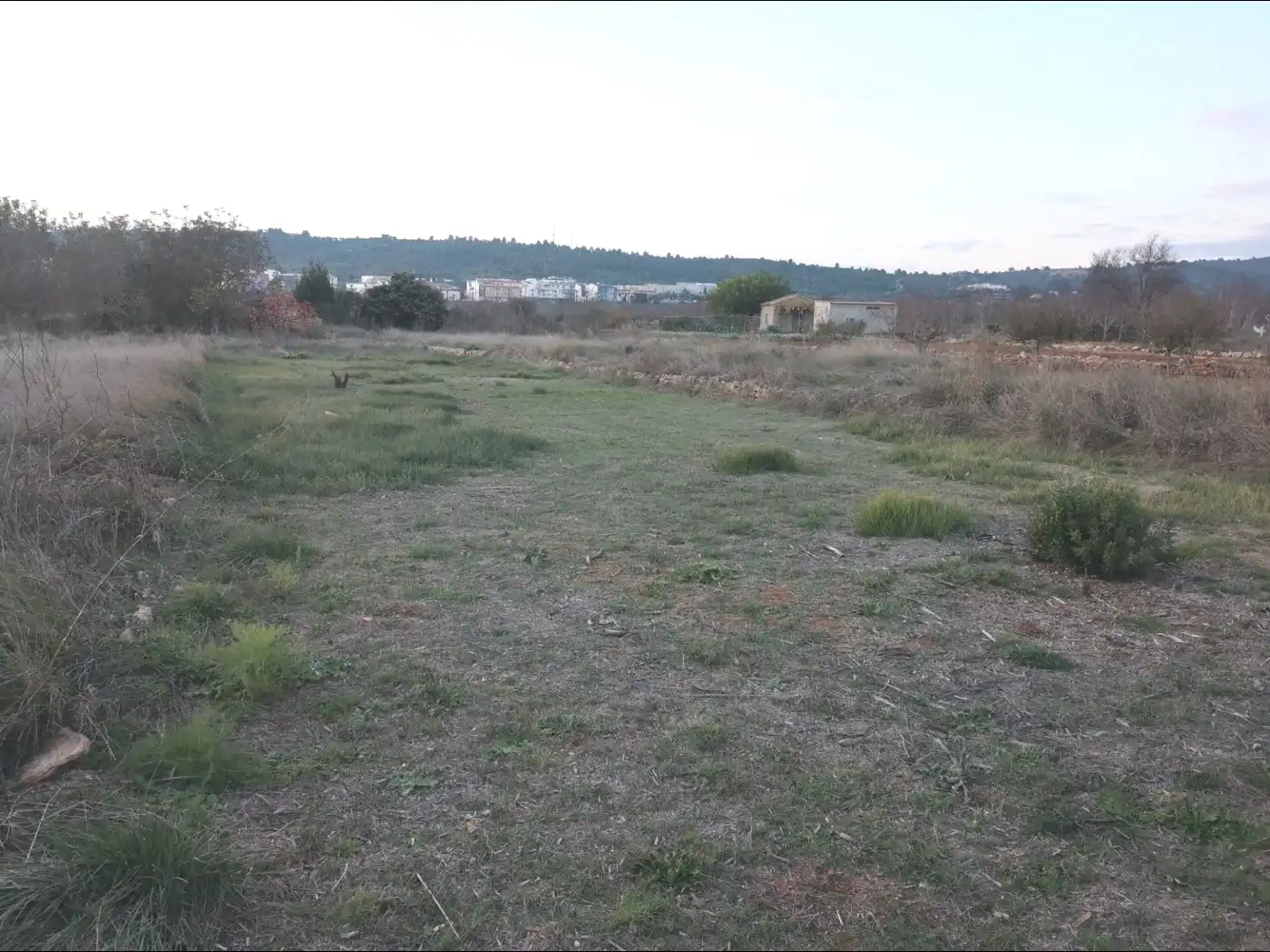 Terreny rústic en venda a Vall d'Alba, imagen 5