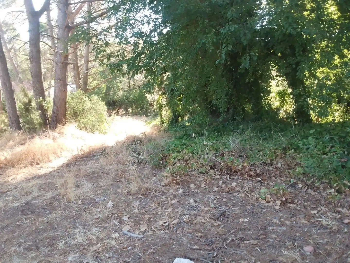 Residential land for sale in Urbanizacion NUEVA SIERRA BT, imagen 4