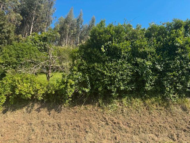 House or chalet for sale in Castropol