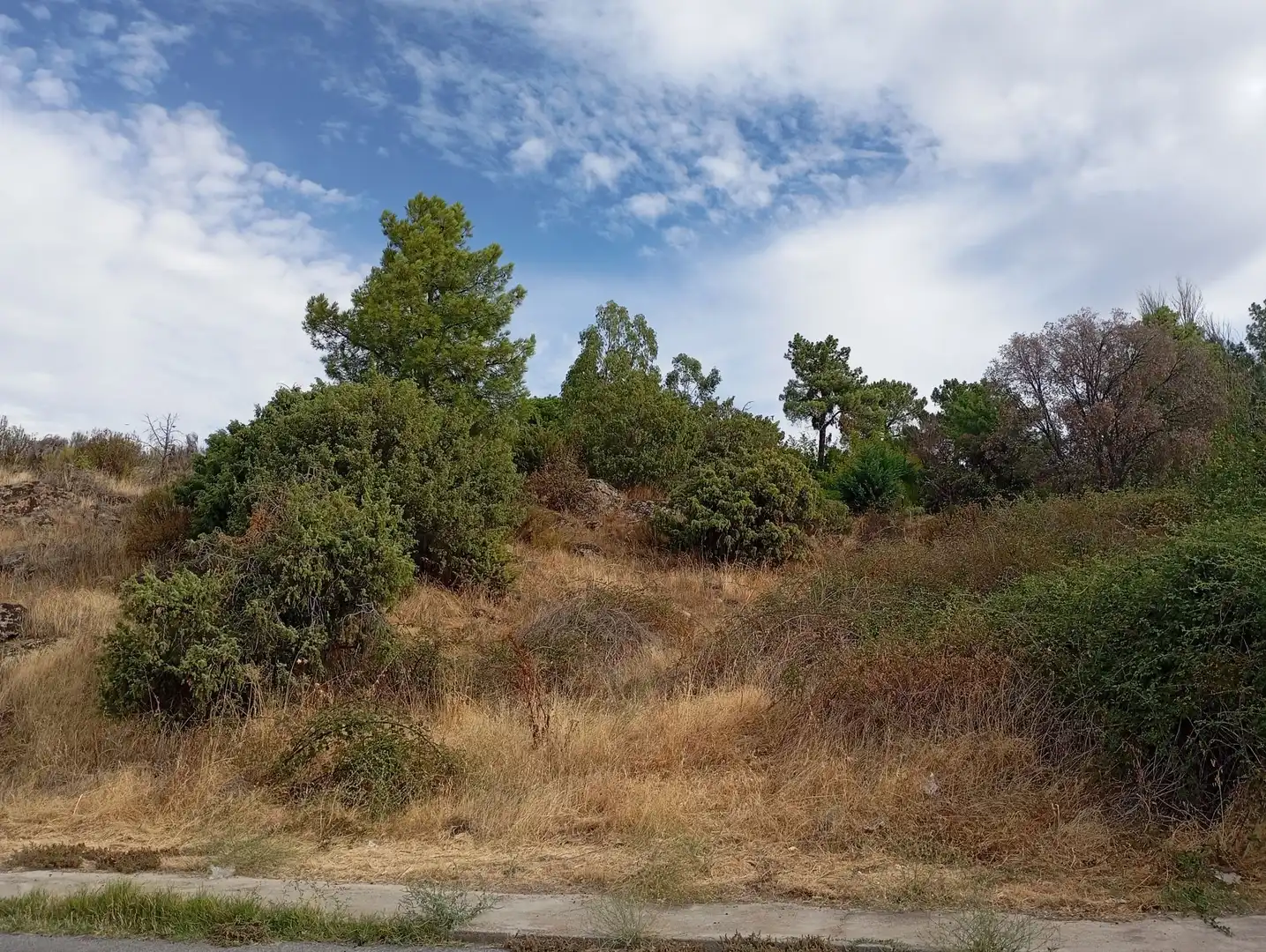 Terrenos y solares en venta en Robledo de Chavela