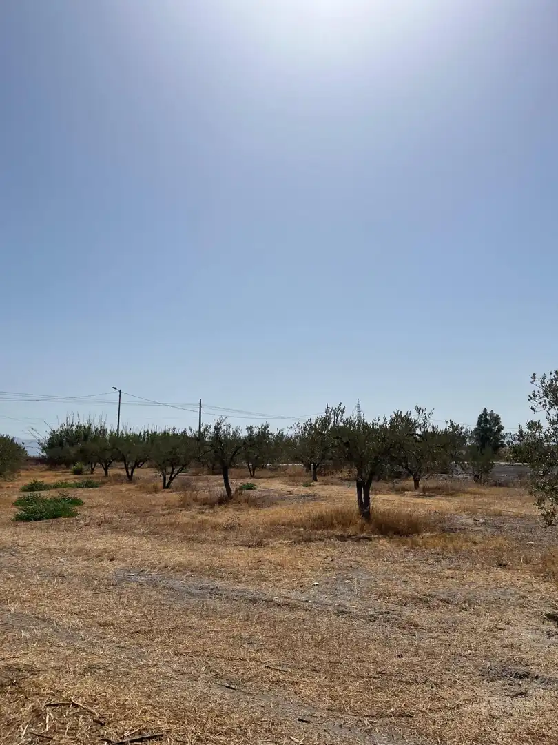 Rustikales Grundstück zum Verkauf in Camino TORRECILLA, imagen 22