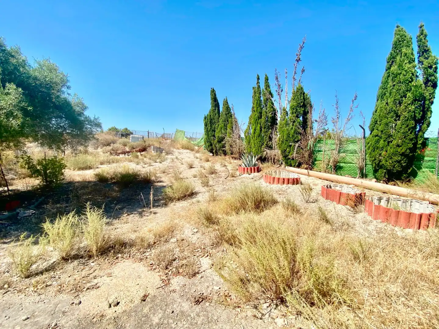 Terrenos y solares en venta en San Miguel de Salinas, imagen 12
