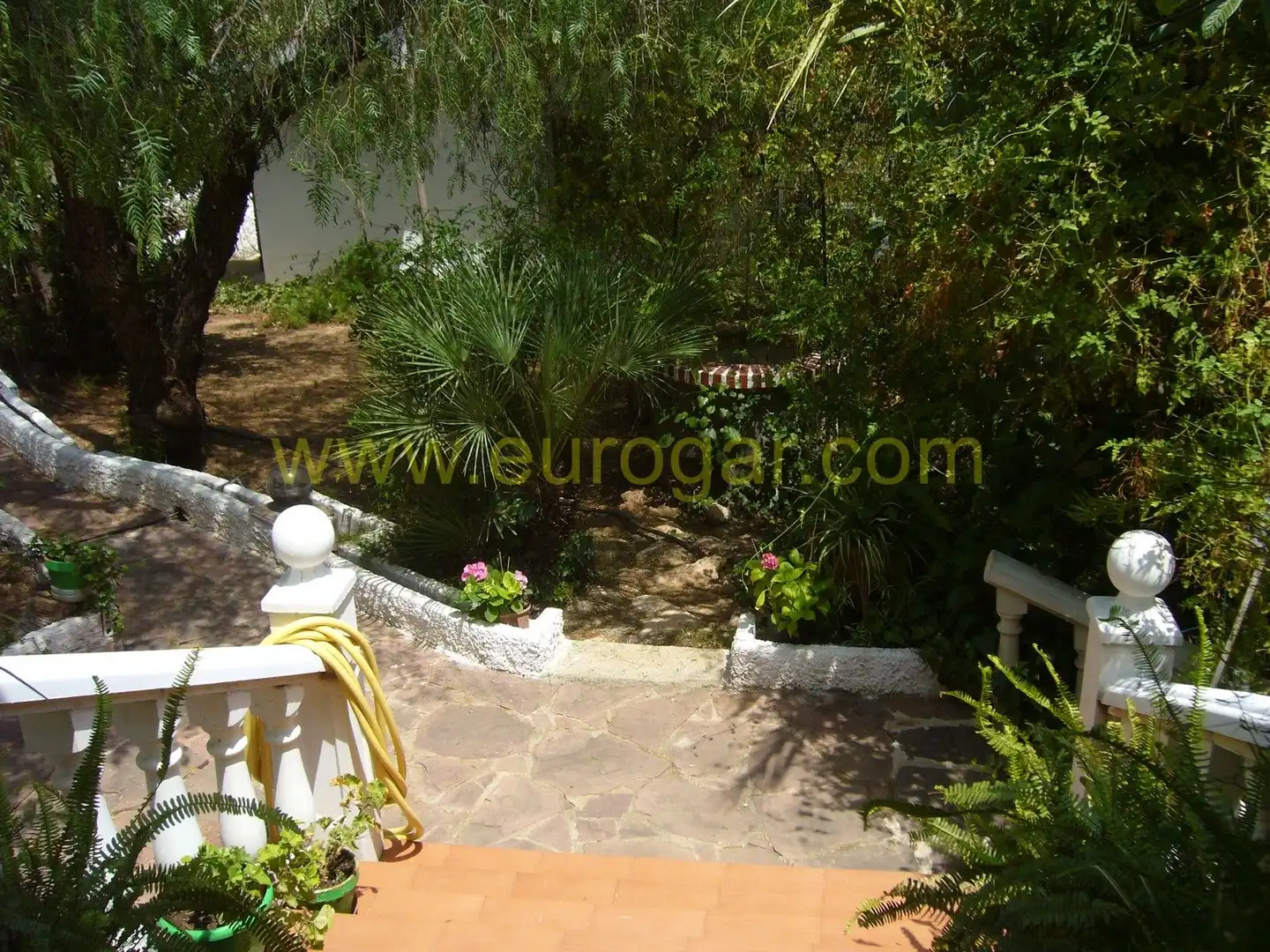 Jardí de Casa o xalet en venda en Chiva amb Jardí privat, Terrassa i Traster