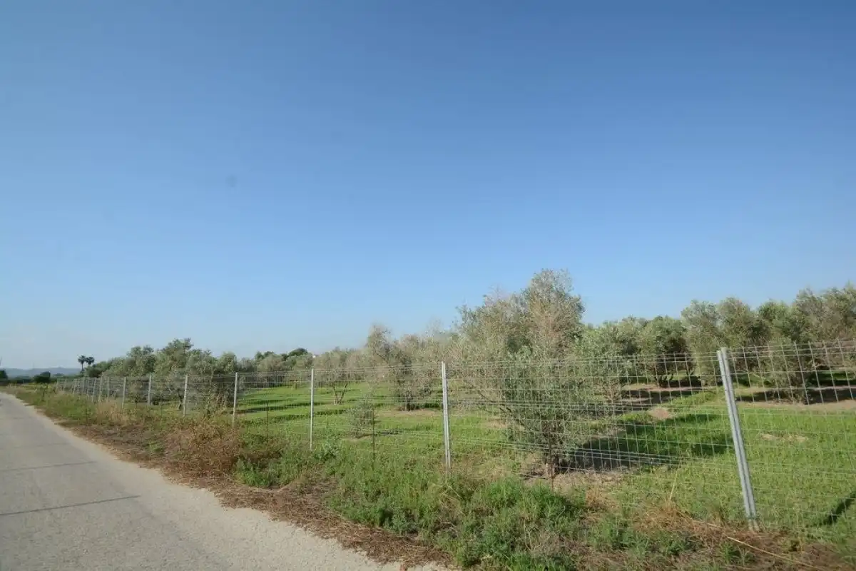 Casa rústica en venta en Molins - Campaneta - San Bartolomé, imagen 23