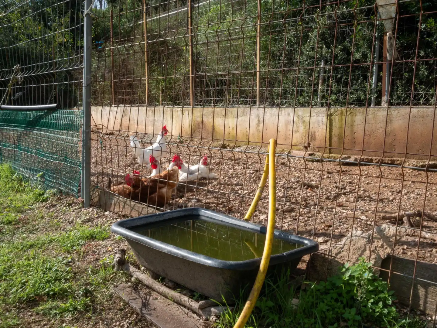 Casa rustica con giardino in vendita a Carretera COMARCAL BV-2111, imagen 49