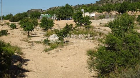 SE VENDE TERRENO RUSTICO AL PIE DE LA MONTAÑA EN HONDON DE LAS NIEVES, imatge 2