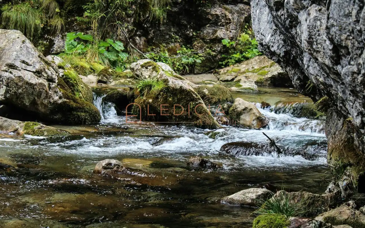 Rural land for sale in San Martiño de Verducido, imagen 18