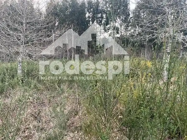 Terreny rústic en venda a A Cañiza, imagen 8