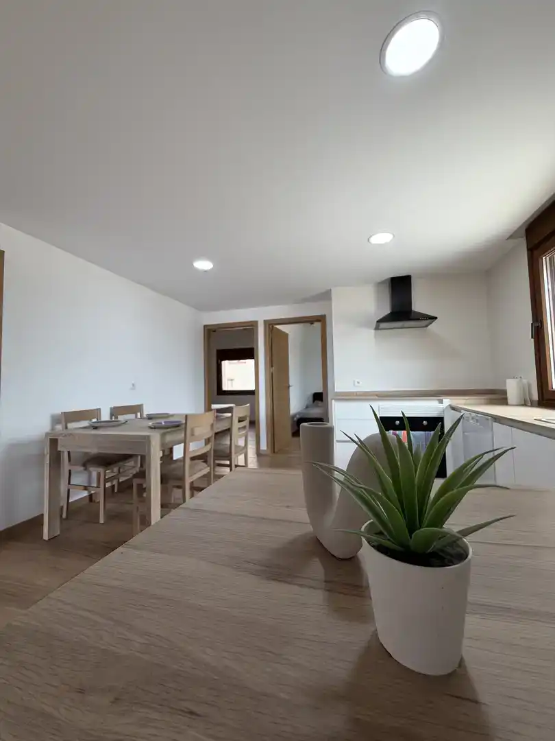 Dining room of Apartments for rent in Elche / Elx  with Private garden and Furnished