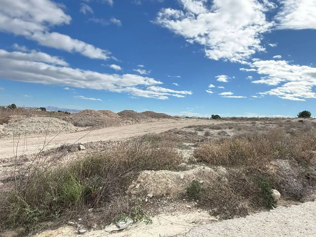 Rural land for sale in Villanueva del Río Segura, imagen 2