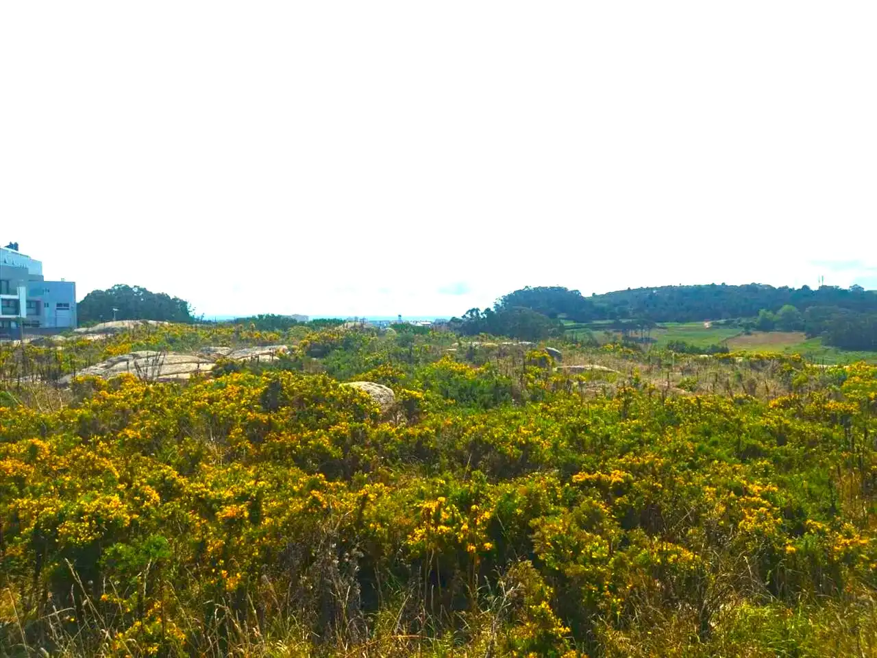 Residencial en venta en PORTIÑO. Polígono, Riazor - Visma