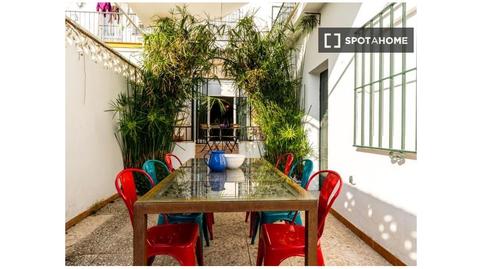 Foto 2 de Apartament per a compartir a Castilleja de la Cuesta, Sevilla