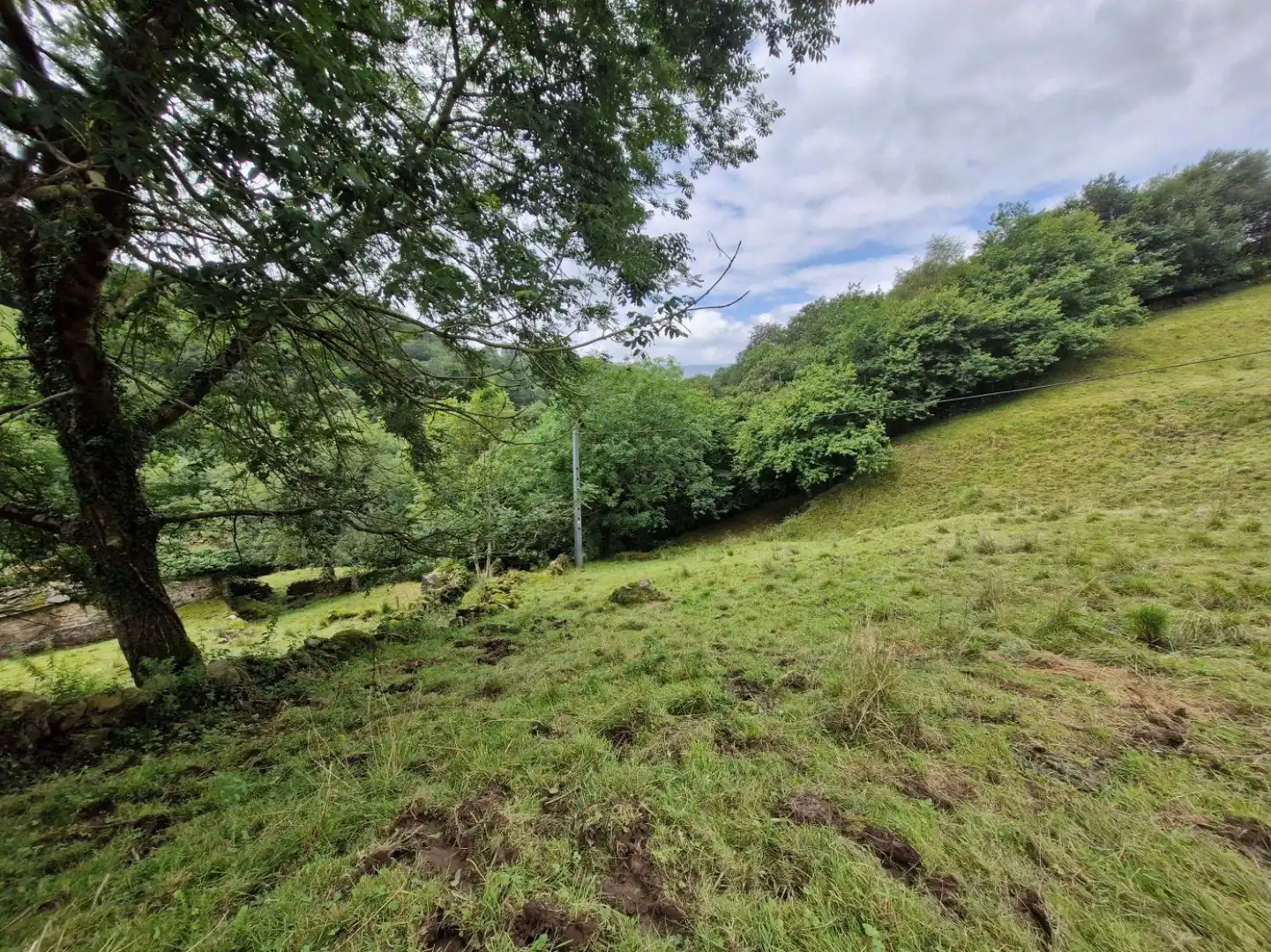 Terreno en venta en Selaya