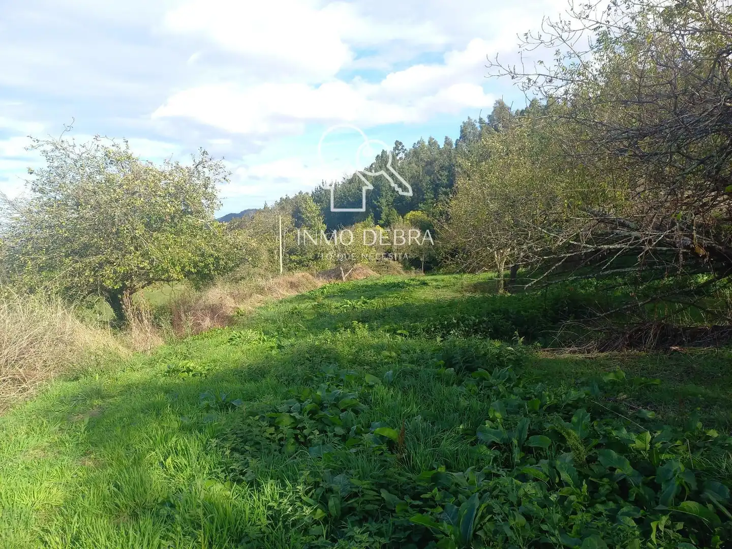 Haus zum Verkauf in N/A, imagen 10