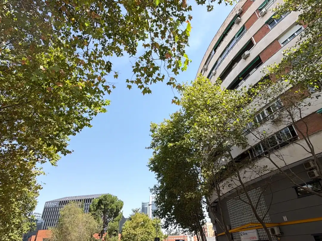 Estudio de alquiler en Calle del Conde de Serrallo, 1, Almenara -Ventilla