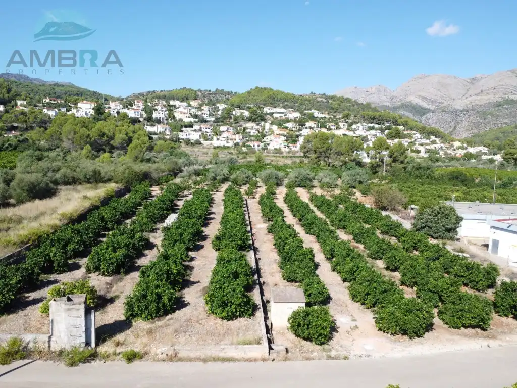 Rural land for sale in Partida Fontilles