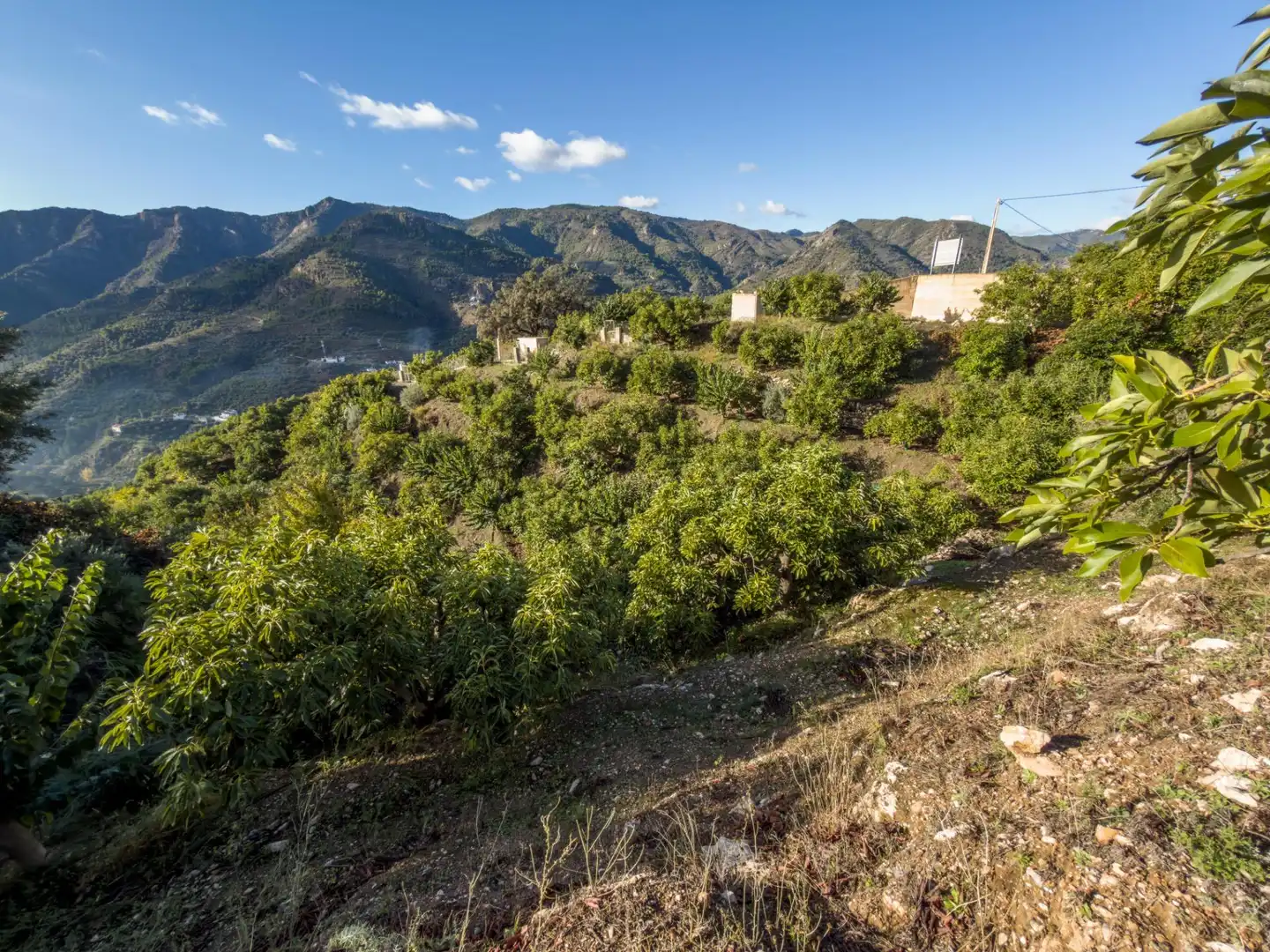 Finca rústica en venda en Los Guájares amb Terrassa i Traster