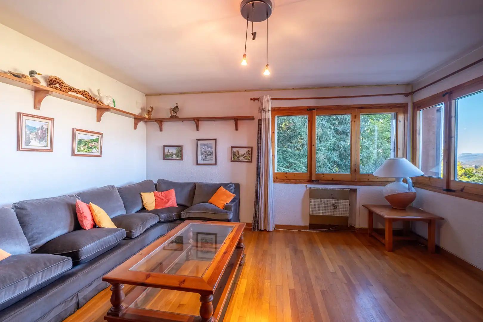 Sala d'estar de Casa adosada en venda en Alp amb Calefacció, Jardí privat i Parquet
