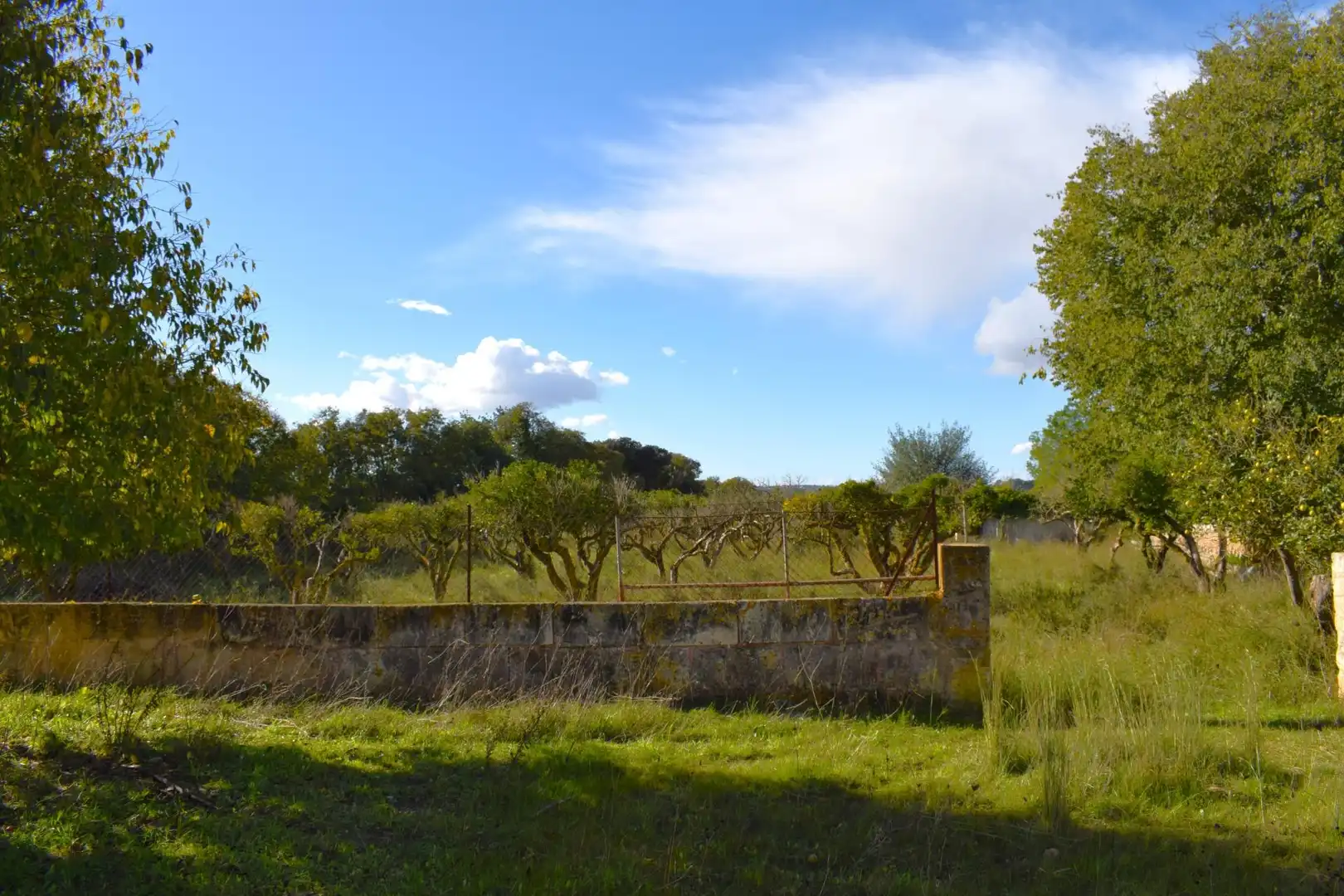 Residential land for sale in Llubí, imagen 7
