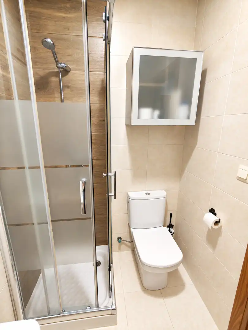 Apartment with garden for sale in Rúa Alcalde Fernández Bermúdez, imagen 13