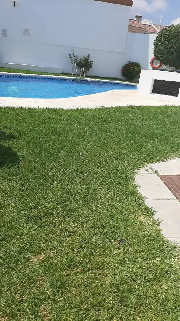 Adossat amb piscina en venda a Calle del Maestro Vert, imagen 15