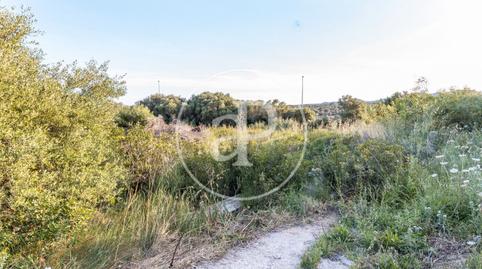 Photo 3 of Residential for sale in Escala Vedrà, 34, Cales de Mallorca, Illes Balears