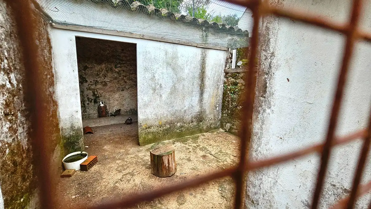 Exterior view of Houses for sale in Cortegana  with Private garden, Terrace and Storage room