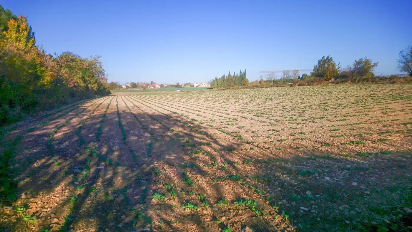 Terrain rustique à vendre à El Copao 163, imagen 5