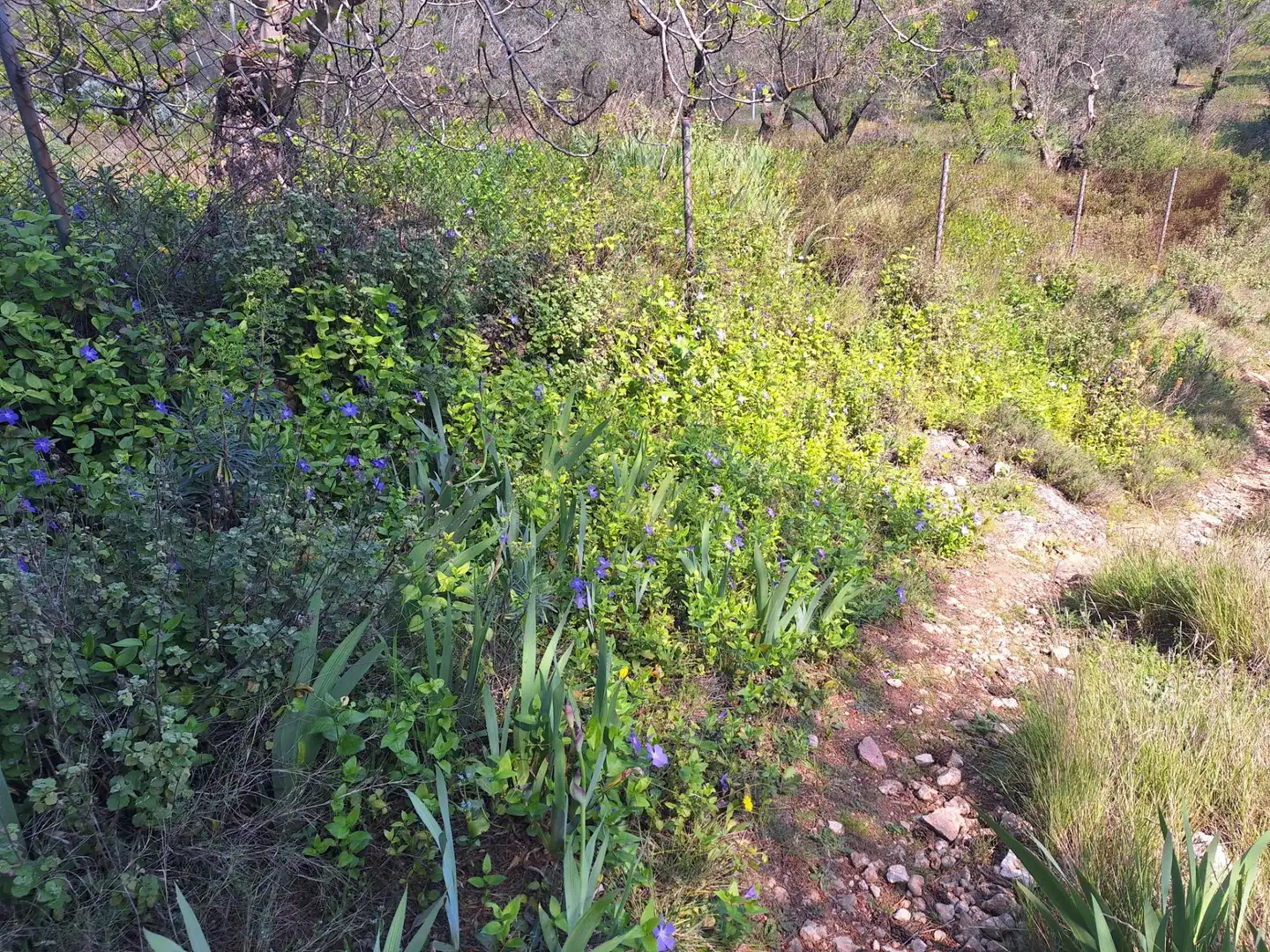 Finca rústica en venda en Alcoy / Alcoi amb Traster i Moblat