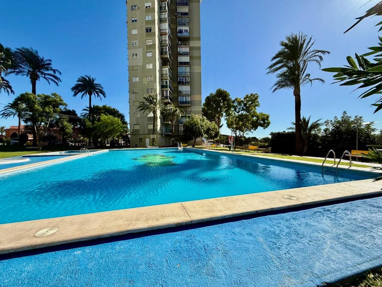 Piscina de Apartament en venda en Benidorm amb Piscina comunitària