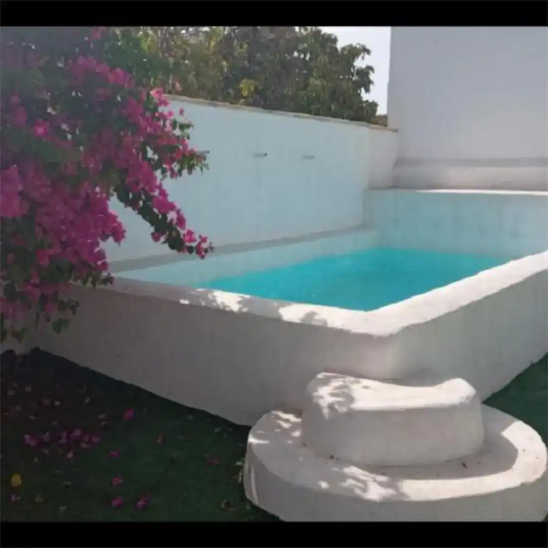 Swimming pool of Houses for rent in La Soledad